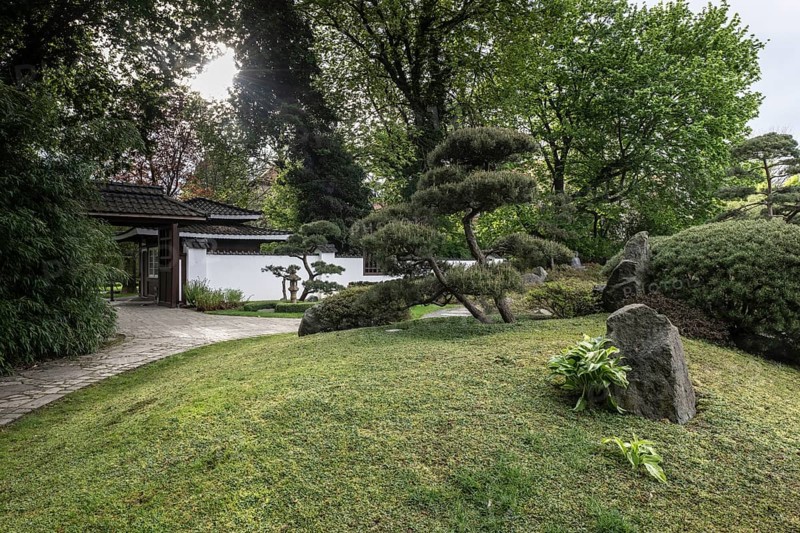 Japanese Garden, Bad Langensalza, Thuringia, Germany, Europe