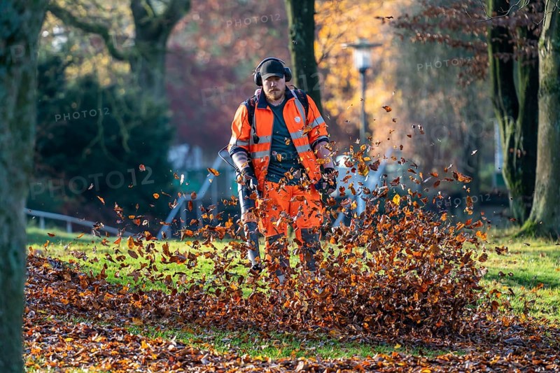 Leaf blower, removal of autumn leaves in a municipal park, Duisburg, North Rhine-Westphalia, Germany, Europe