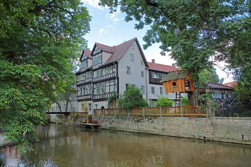 Half-timbered house and tree house on the river Gera, wooden construction, wooden house, idyll, Erfurt, Thuringia, Germany, Europe