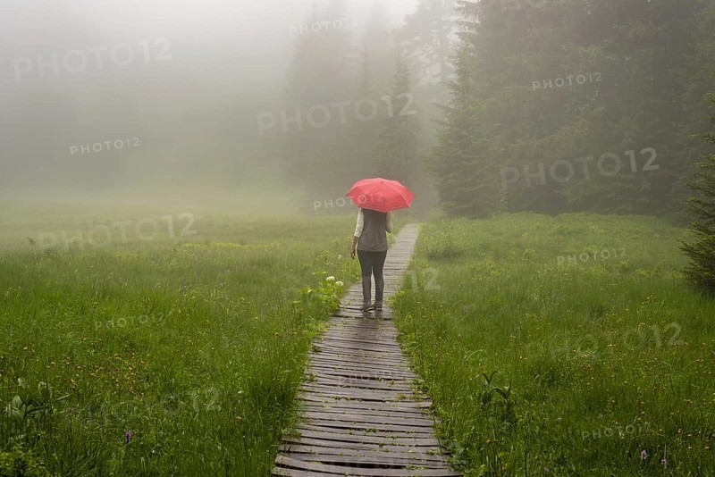 Woman 60-65 with umbrella in the Hühnermoos on a cloudy day with fog, a high moor at the Söllereck near Oberstdorf, Allgäu Alps, Allgäu, Bavaria, Germany, Europe