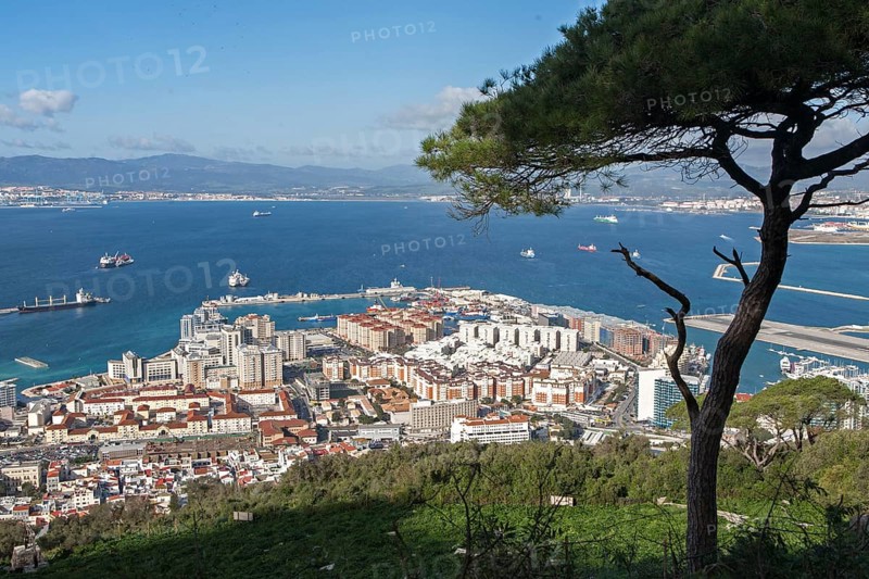 High density modern apartment block housing, Gibraltar, British overseas territory in southern Europe, Europe