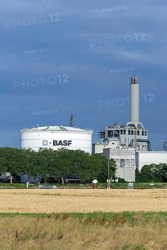 BASF, Lugwigshafen am Rhein, industrial area, Felder, Mannheim, Baden-Württemberg, Germany, Europe