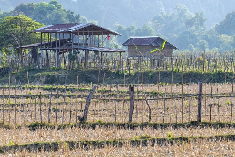Harvested rice paddies with a small hut, Vang Vieng, Vientiane province, Laos, Asia