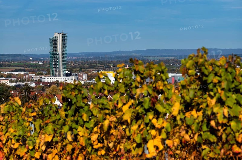 View of half-finished high-rise building GEWA-Tower, ruined building, vineyard, vines, vine cultivation, autumn colours, autumn, Kappelberg, Fellbach, Waiblingen, Baden-Württemberg, Germany, Europe