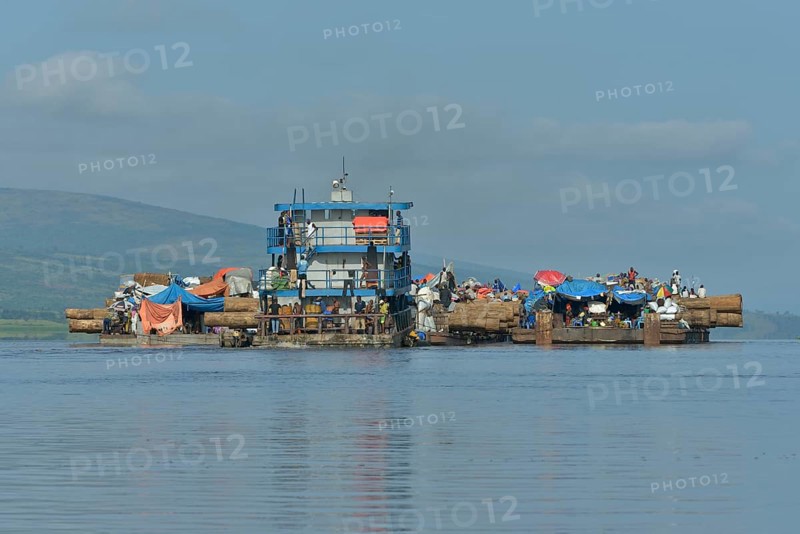 Freighter transporting logs of tropical timber on the Congo River, near Kinshasa, Kinshasa District, Democratic Republic of the Congo
