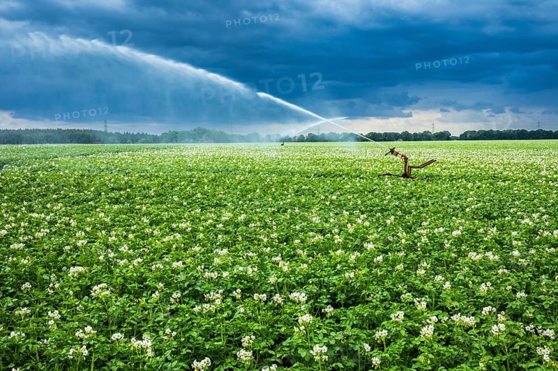 Irrigation, potato field near Zarrentin, Mecklenburg-Western Pomerania, Germany, Europe