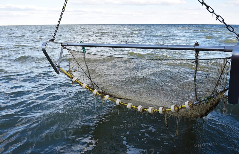 Crab cutter has displayed its nets in the North Sea, Büsum, Germany, Europe
