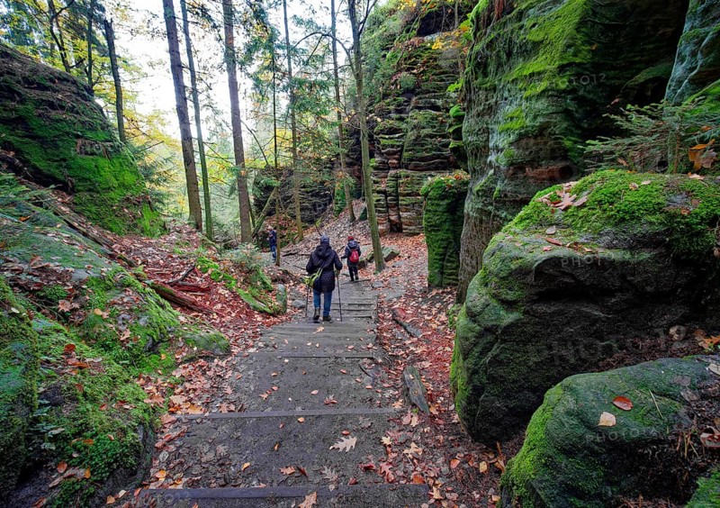 Hiking trail through the Schwedenlöcher, Amselgrund near Rathen, Saxon Switzerland, Elbe Sandstone Mountains, Saxony, Germany, Europe