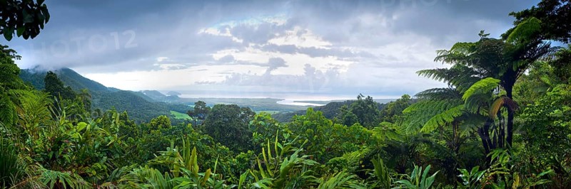 Panorama, overview, rainforest, jungle, tropical forest, tropics, rain, nature, landscape, Daintree National Park, Queensland, Australia, Oceania