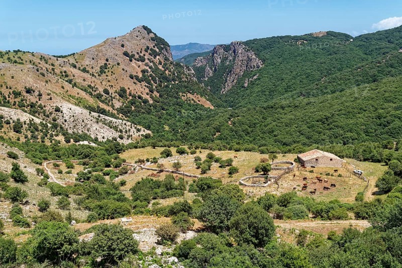 A farmhouse below a steep mountain slope in the Parco delle Madonie nature park. Cefalu, Sicily, Italy, Southern Europe, Europe