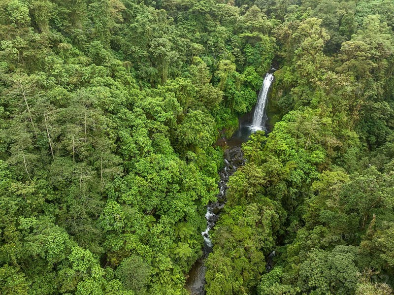 Aerial view, waterfall in the rainforest, Catarata de la Paz, La Paz Waterfall Gardens Nature Park, Alajuela Province, Costa Rica, Central America