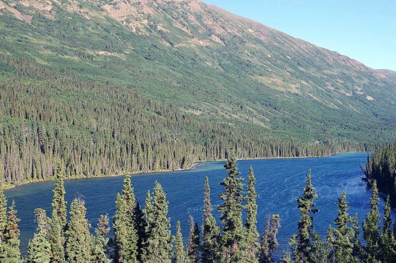 Deserted lake and endless forests, Yukon Territory, Canada, North America