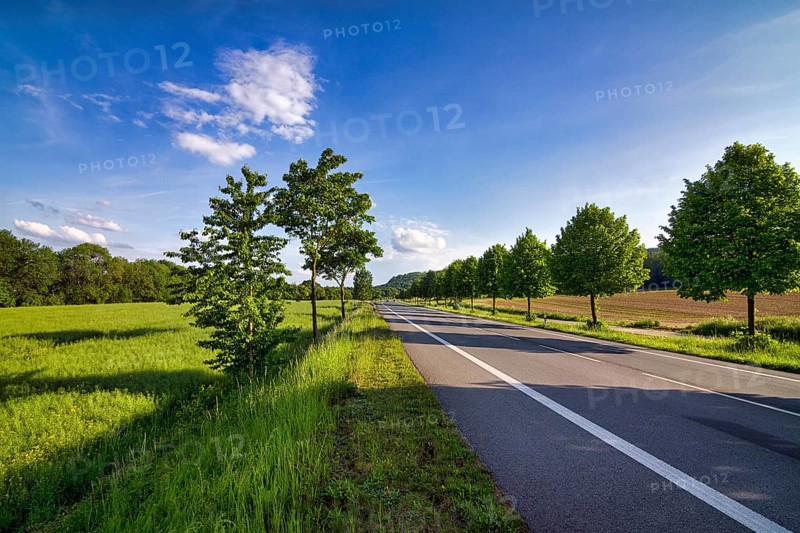 Empty federal road 64, B 64 between Höxter and Holzminden, meadows and fields in spring, trees at the roadside, verge, road marking, no road traffic, Höxter, Weserbergland, North Rhine-Westphalia, Germany, Europe
