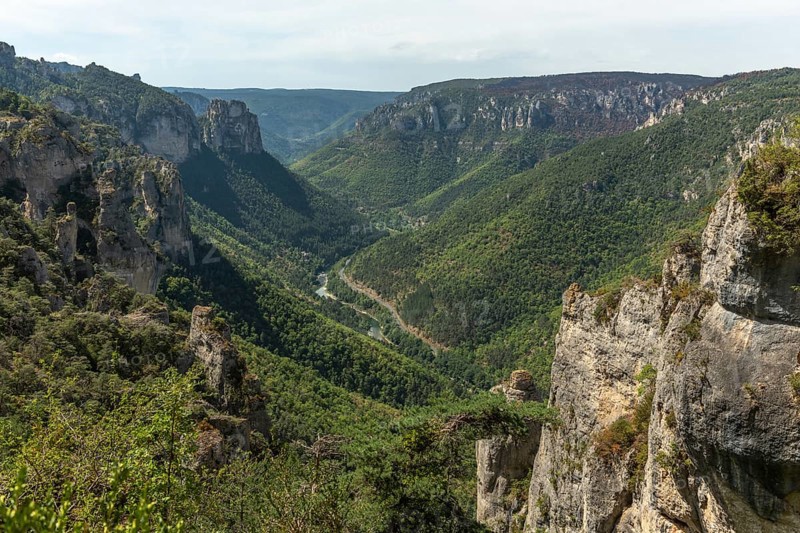 Gorges of Tarn seen from hiking trail on the corniches of Causse Mejean above the Tarn Gorges. La bourgarie, Lozere, France, Europe