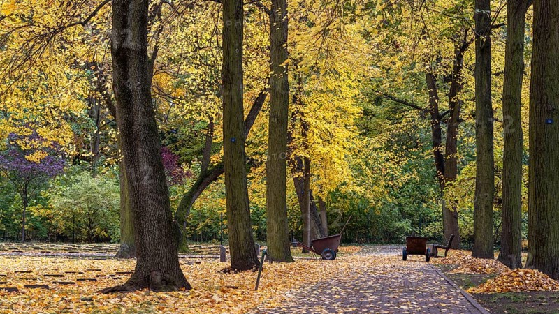 Autumn time, Volkspark Rehberge, war graves, memorial site, Berlin, Germany, Europe