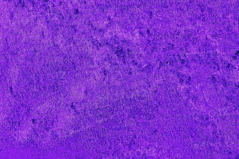 Violet panne velvet textile texture