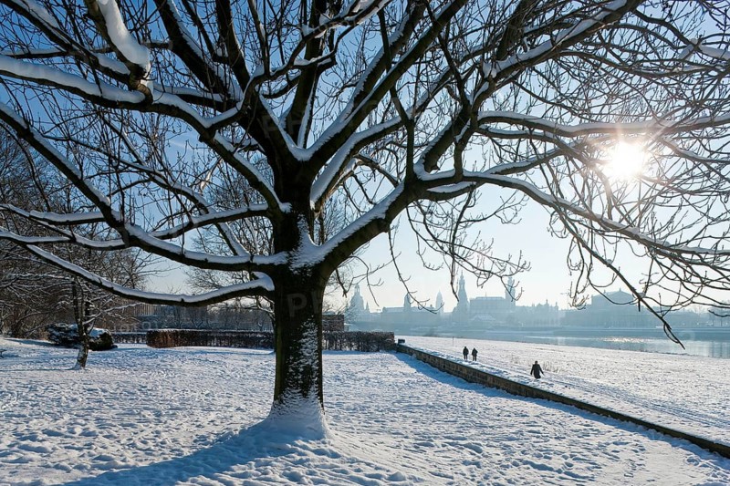 Dresden silhouette in winter