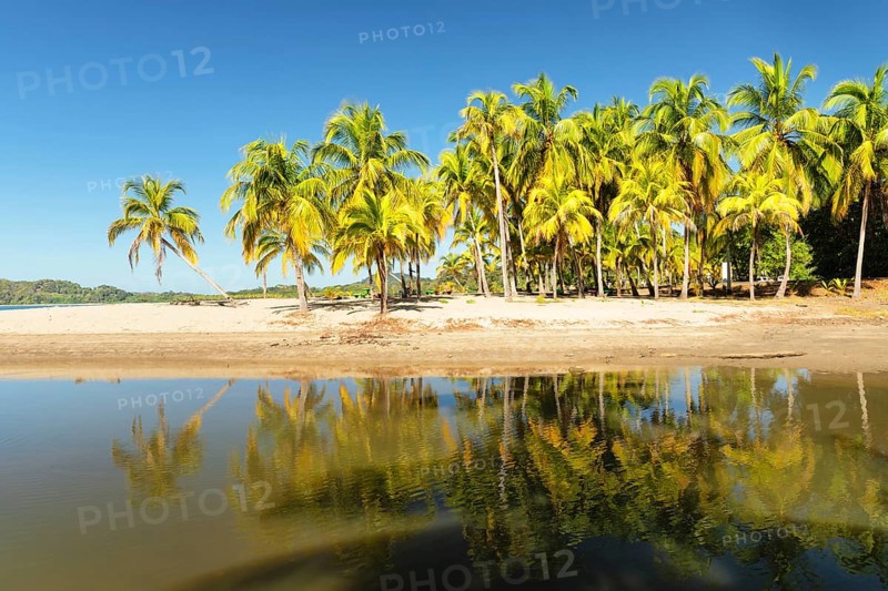 Playa Carillo, Peninsula de Nicoya, Guanacaste, Costa Rica, Central America
