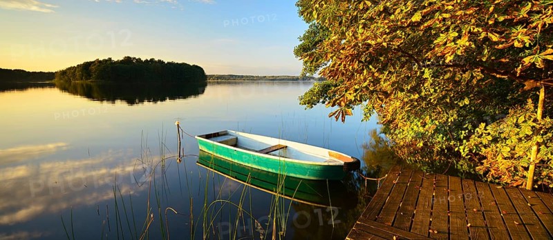 Quiet lake with jetty and rowing boat in the evening in autumn, horse chestnut with autumn leaves on the shore, reeds in the water, Großer Lychensee, Lychen, Uckermark, Brandenburg, Germany, Europe