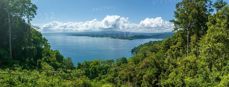 South Pacific and rainforest, Osa Peninsula, Punterenas Province, Costa Rica, Central America