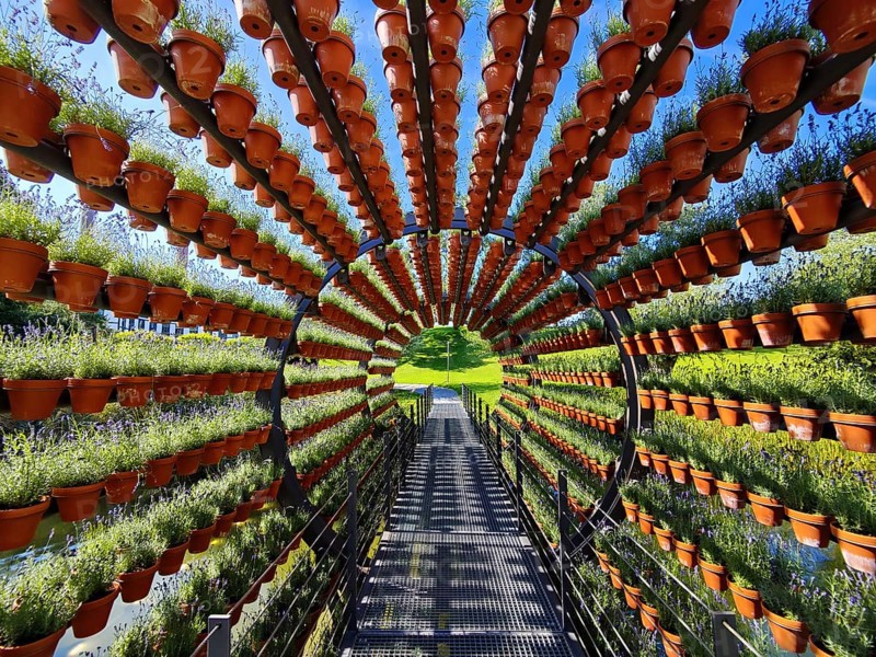 Scented tunnel, a work of art and a beam bridge by Ólafur Elíasson, Autostadt, Volkswagen AG, Wolfsburg, Lower Saxony, Germany, Europe