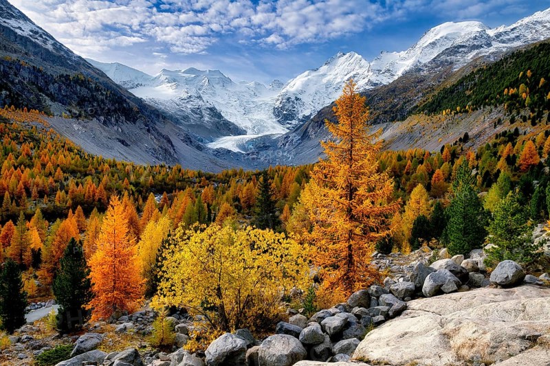 Autumn-coloured valley at dawn, Morteratsch, Engadin, Canton Graubünden, Switzerland, Europe