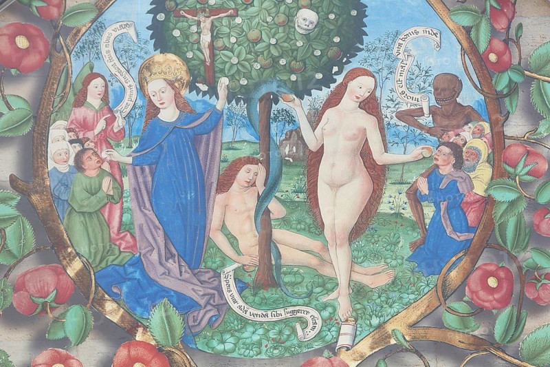 Mural Paradise by Berthold Furtmeyr 1478 on the gable of the building Paradiesgärten, Gartenparadiese ehemalige Peterskirche, mural, painting, arts and crafts, paradise, Adam, Eve, tree of knowledge, snake, sin, biblical, parable, floral, historical figures, crucifix, crucifixion, death, citadel, Petersberg, Erfurt, Thuringia, Germany, Europe