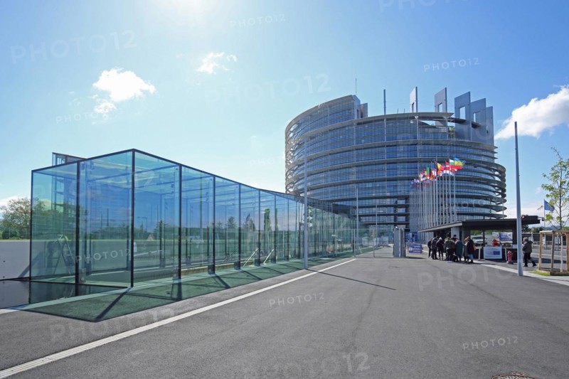 EU Parliament with national flags, European, European, EU, European Parliament, European Parliament, Strasbourg, Bas-Rhin, Alsace, France, Europe