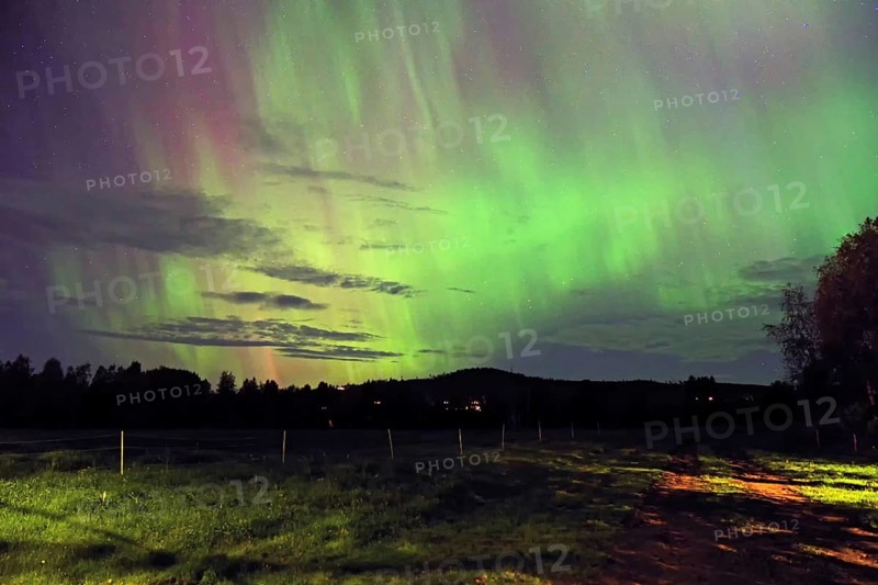 Beautiful green and purple auroras in the night sky over a dark field, the stars visible, Vemdalen, Värmland, Sweden, Europe