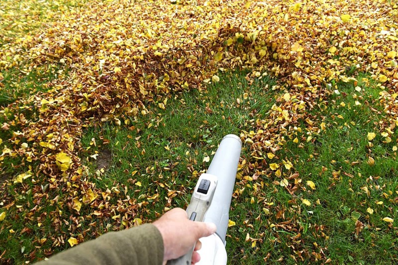 Remove withered leaves, autumn leaves in the garden, Schleswig-Holstein, Germany, Europe