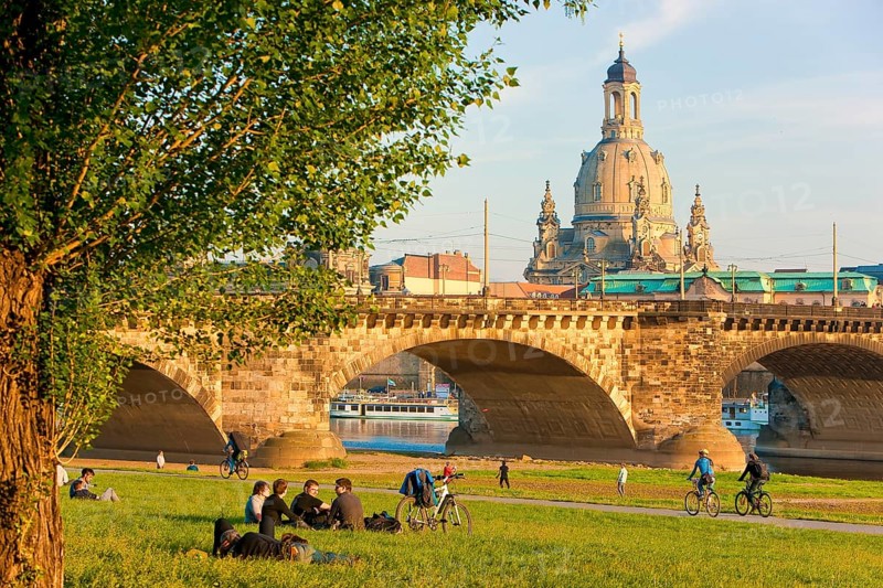Dresden Elbe meadows in spring
