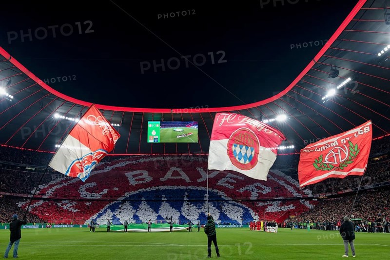 Choreo, choreography, fan action, flags, flag waving, interior, DFB Cup round of 16, Allianz Arena, Munich, Bavaria, Germany, Europe