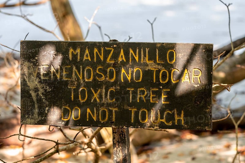Warning sign for poisonous tree Manchinel tree (Hippomane mancinella), Do not touch, Manuel Antonio National Park, Puntarenas district, Costa Rica, Central America