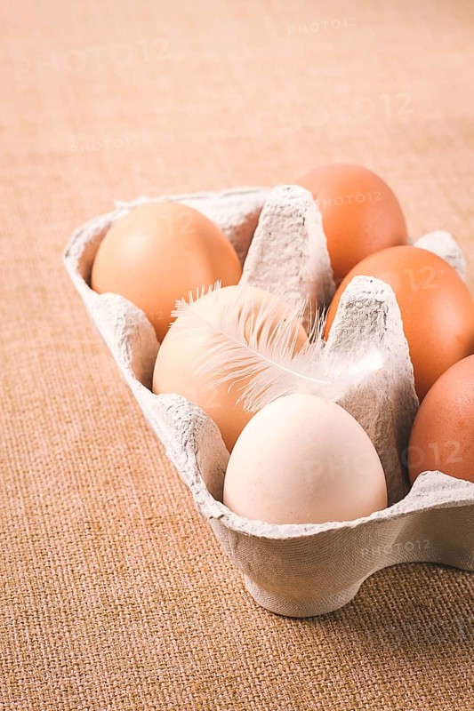 Frische Eier, in Pappbehältern, Wagen, braun