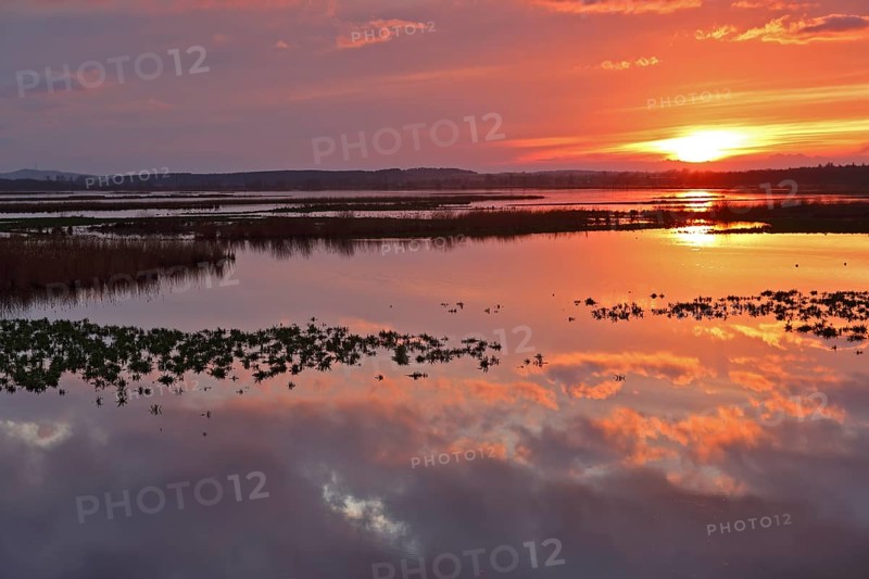 Sunset over the Große Rosin nature reserve on the Peene, rewetted polder, bird sanctuary, Peene Valley River Landscape nature park Park, Mecklenburg-Western Pomerania, Germany, Europe
