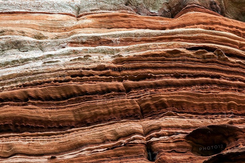 Eroded red sandstone, old castle rock, close-up, natural and cultural monument, Brechenberg near Eppenbrunn, Palatinate Forest, Rhineland-Palatinate, Germany, Europe