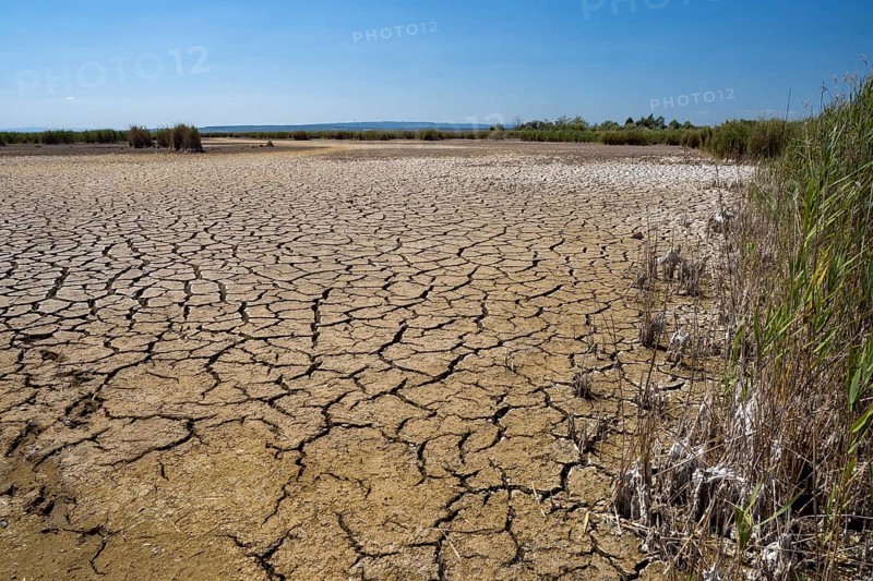 Heavily desiccated soil of Lake Neusiedl, Lake Neusiedl-Seewinkel National Park, Illmitz, Burgenland, Austria, Europe