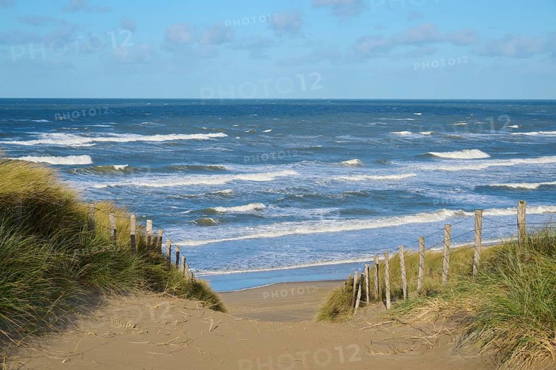 Beach access, sand dune, sea, dune grass, wind, clouds, Zandvoort, North Sea, North Holland, Netherlands
