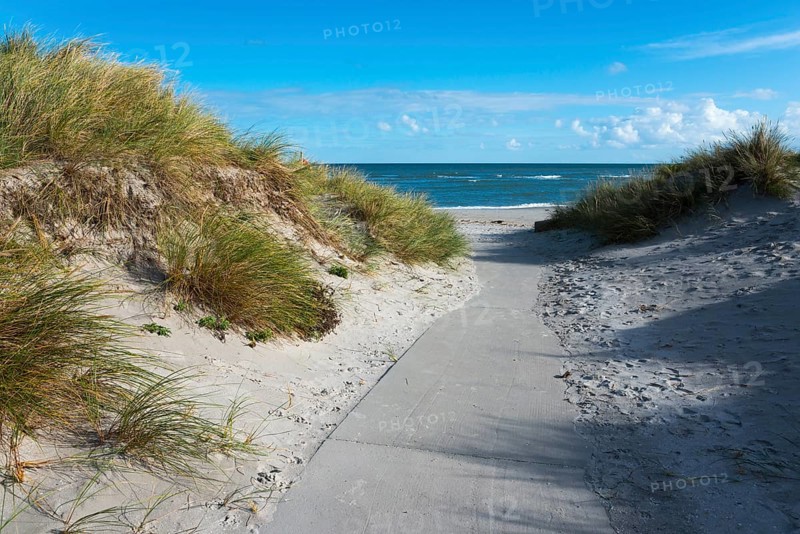 Path to the white sand of Palmestranden, Palm Beach, Frederikshavn, Nordjylland, North Jutland, Kattegat, Denmark, Europe