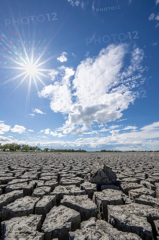 Cracked earth, heavily dried out Zicksee, Lake Neusiedl-Seewinkel National Park, Burgenland, Austria, Europe