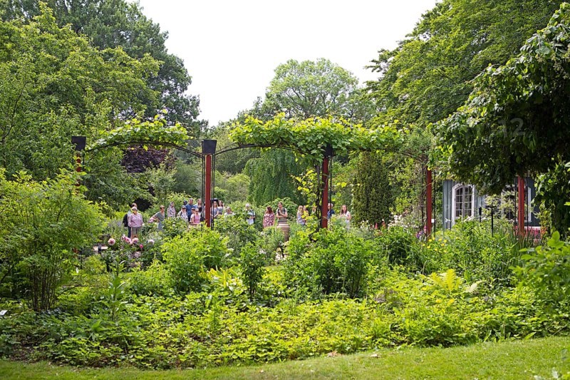 Botanical Garden, Gothenburg, Västra Götalands län, Sweden, Europe
