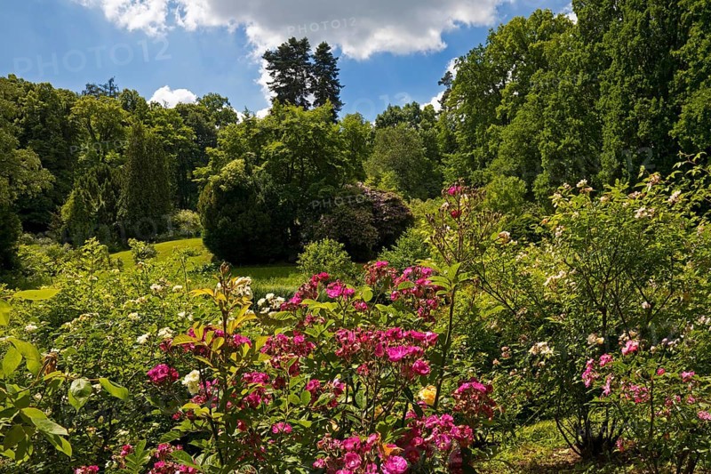 Rose Island in Bergpark Wilhelmshöhe, UNESCO World Heritage Site, Kassel, Hesse, Germany, Europe