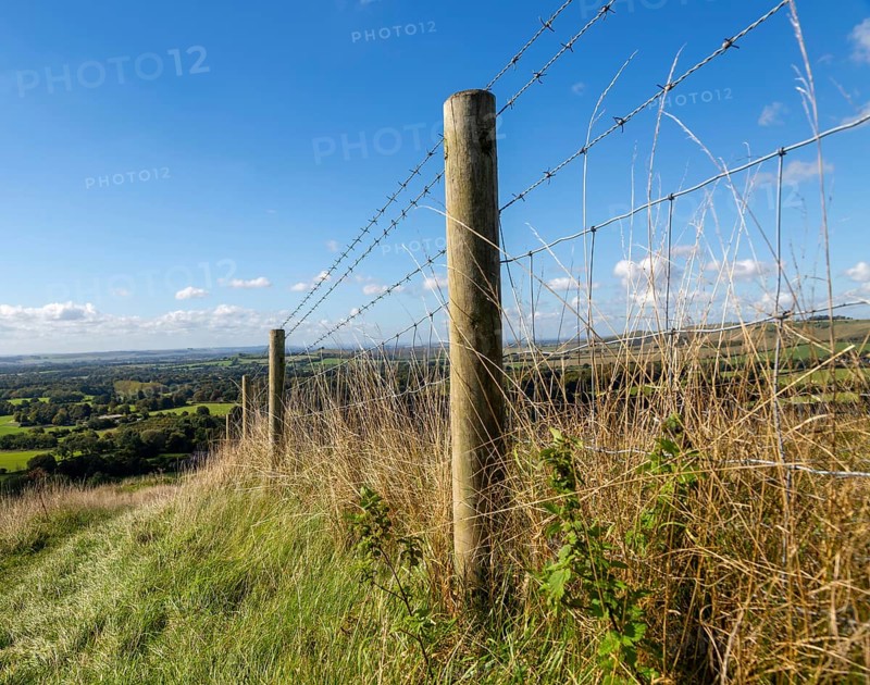 Low angle view fence posts Vale of Pewsey, Pewsey Vale, Martinsell Hill, Oare, Wiltshire, England, UK