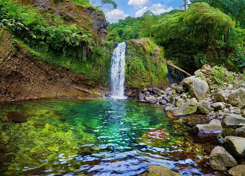 Cascading waterfall flowing into a clear green pool surrounded by rocks and vegetation, Poca da Inglesa waterfall, Grena Park, Furnas, George Hayes, Lagoa das Furnas, Sao Miguel Island, Azores, Portugal, Europe