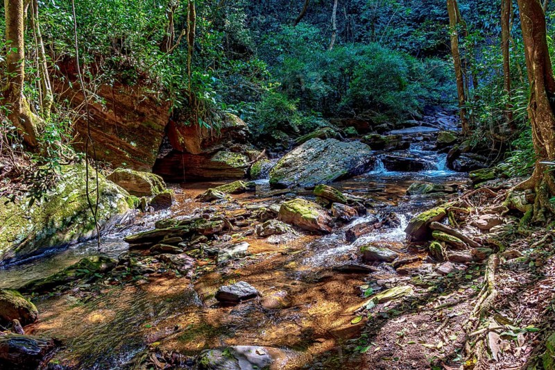 Small stream with clear waters crossing the rainforest in the state of Minas Gerais, Minas Gerais, Brazil, South America