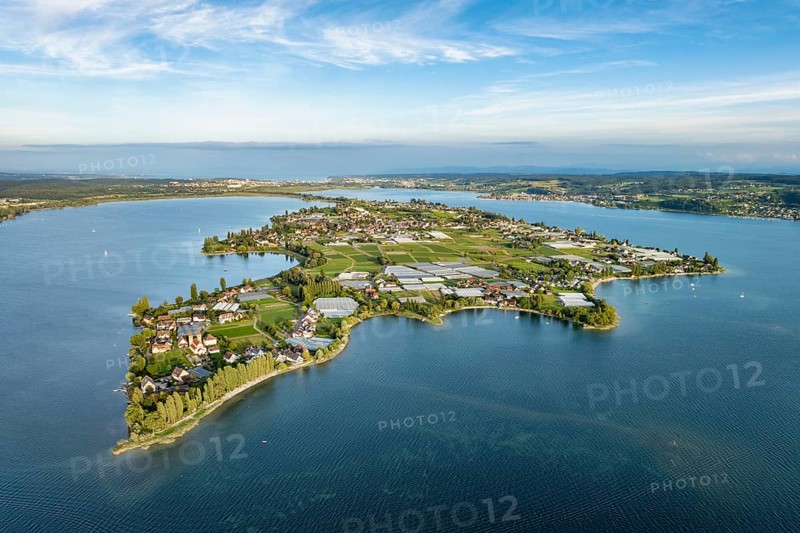 Aerial view, of the north-western tip of the island of Reichenau in Lake Constance, with the district of Niederzell and the columned basilica of St Peter and Paul, with Windegg Castle on the shore, district of Constance, Baden-Württemberg, Germany, Europe