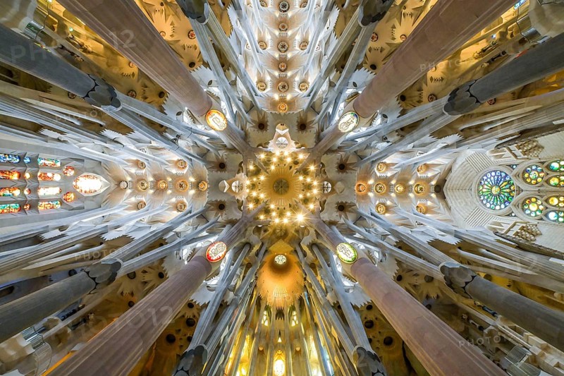 Vaulted ceiling, columns, Sagrada Familia, Basilica by Antoni Gaudi, Barcelona, Catalonia, Spain, Europe