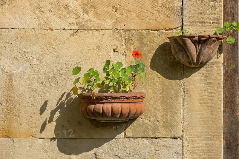 Flower decoration in terracotta pots on an old sandstone wall, North Rhine-Westphalia, Germany, Europe