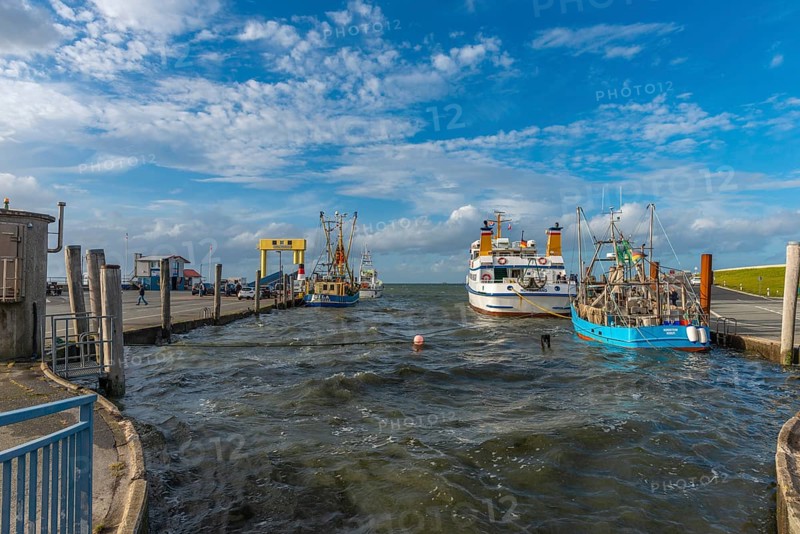 Ferry harbour Strucklahnungshörn, peninsula Nordstrand, fishing cutter, excursion boat, ferry dock, North Sea, blue sky, North Frisia, Schleswig-Holstein, Germany, Europe