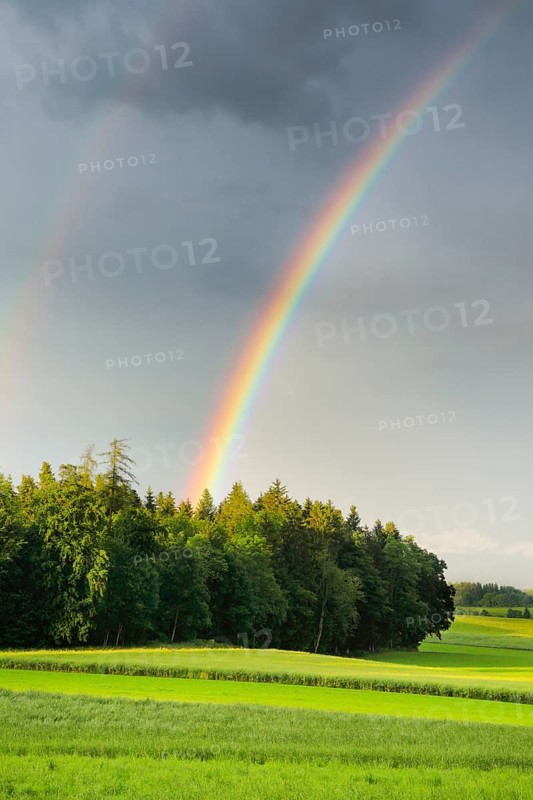 Evening thunderstorm atmosphere with double rainbow over lush green mixed forest, in the Zurich Oberland, Zurich, Switzerland, Europe